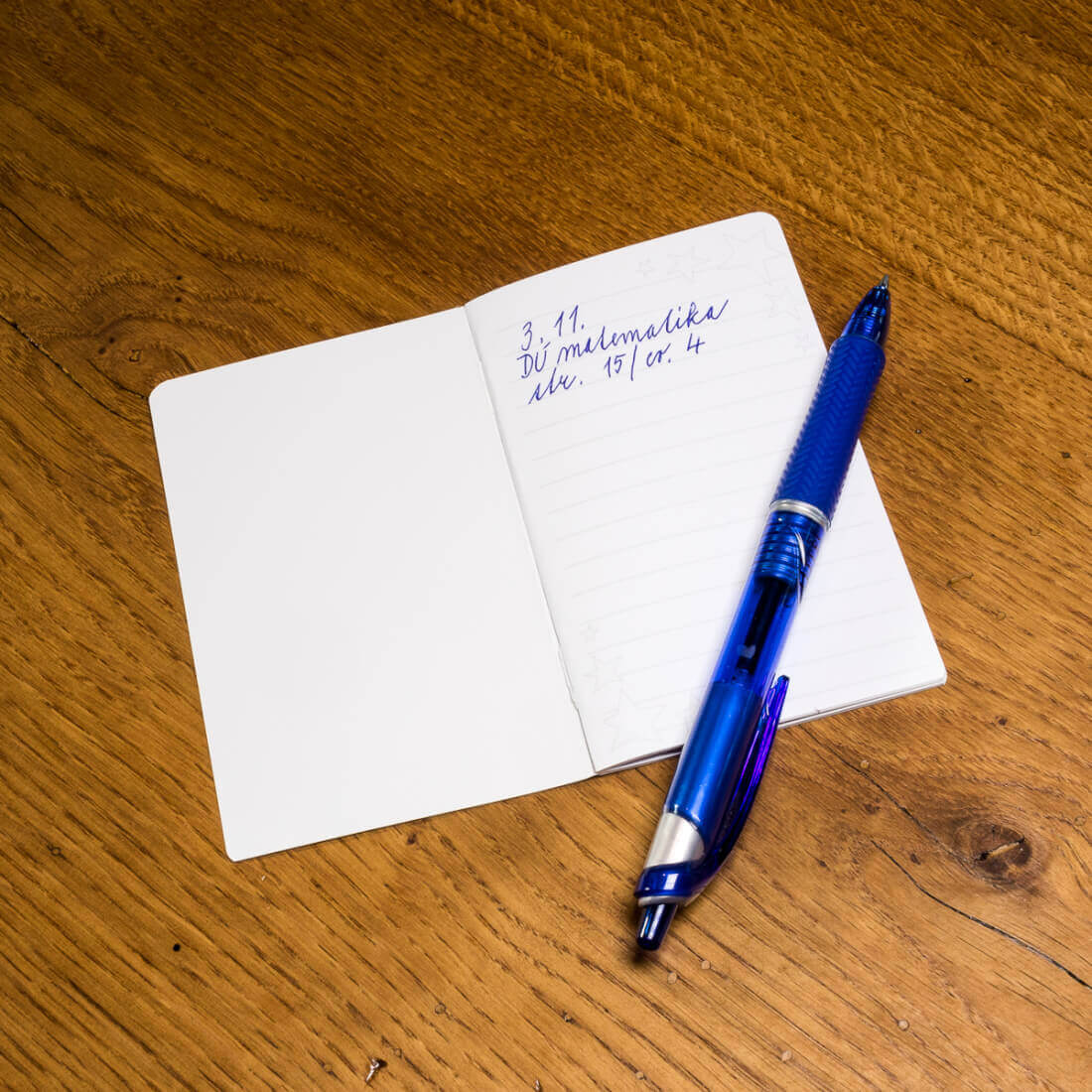 Penálník Hledač cest