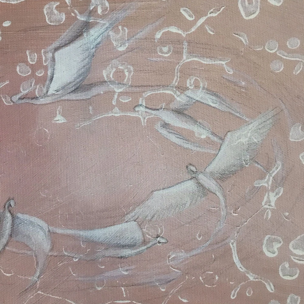 Reprodukce Pouštění draků