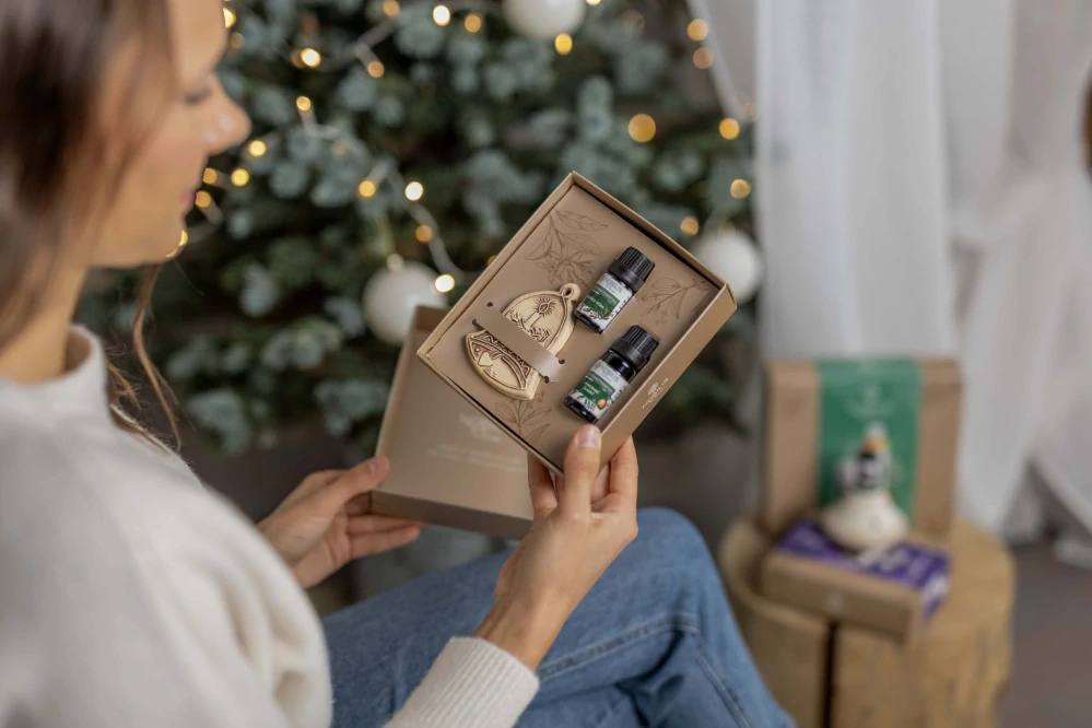 Sada kouzlo zimního domova