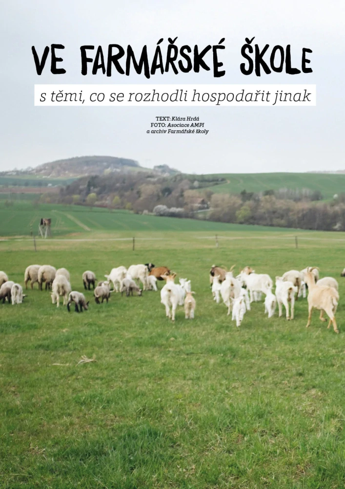 Pravý domácí - podzim 25