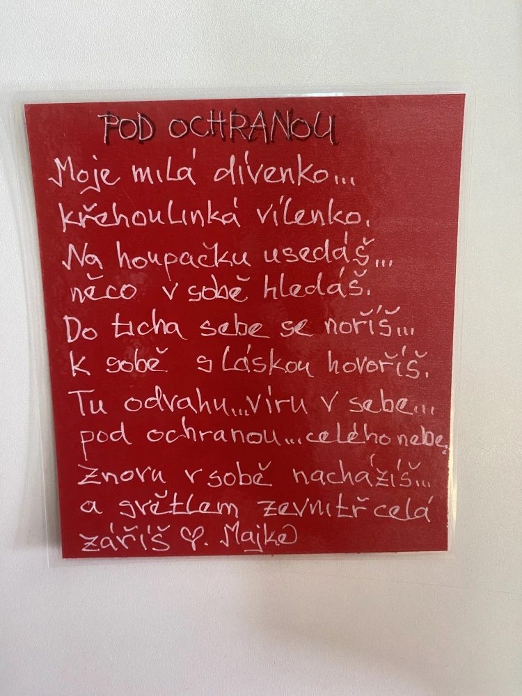 Pod ochranou
