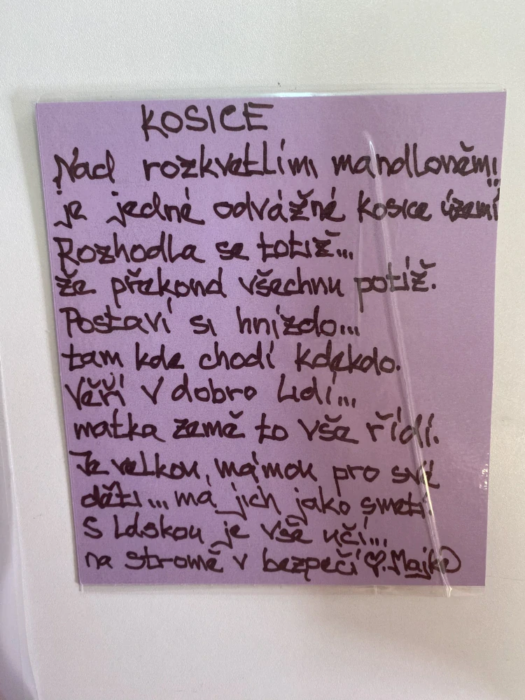 Kosice