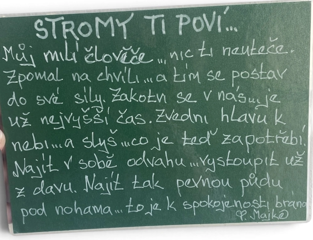 Stromy ti poví...