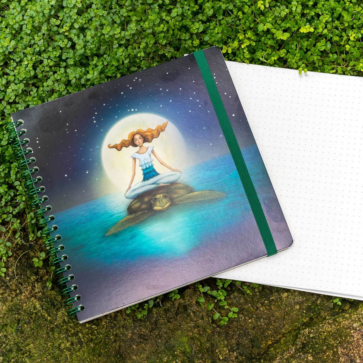 Luxusní blok Želva