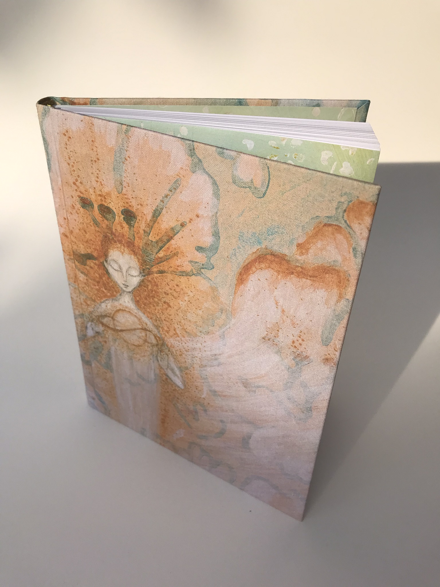 ZÁPISNÍK "Kosmický motýl"