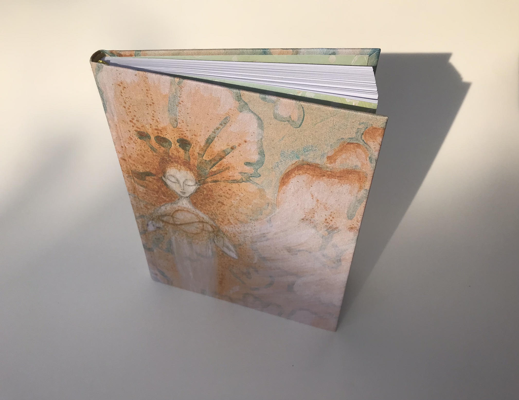 ZÁPISNÍK "Kosmický motýl"