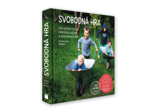 Svobodná hra